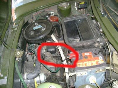 1006_11.jpg