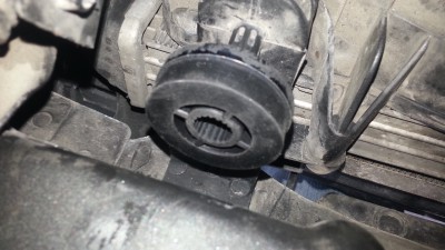 20160229_135108.jpg
