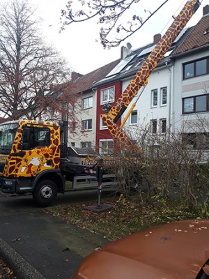 20191202_100141.jpg