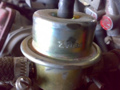 24052009916.jpg