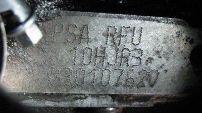 2438.jpg