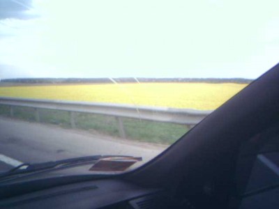 29-04-07_1834.jpg