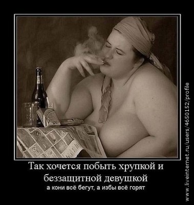 291843_original.jpg