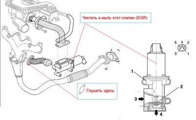 31ec303586d1.jpg