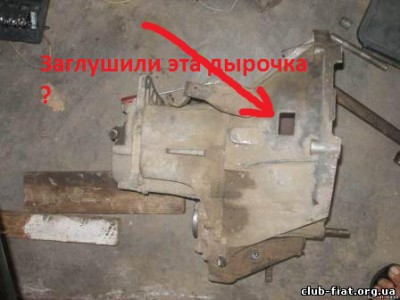 3807303.jpg
