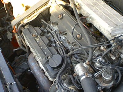 4f4f_19.JPG