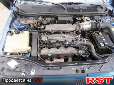 5589234-4.jpg