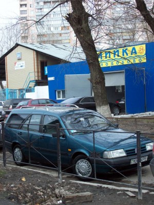 55.jpg