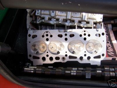 5894_1.jpg
