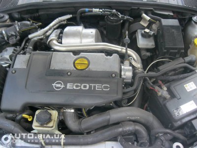 82654804f.jpg