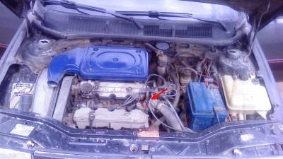 85ebca8s-960111.JPG