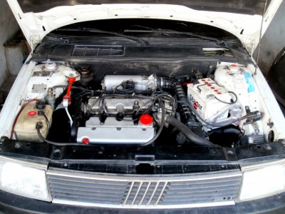 88ce3e65ddcb321e-large.jpg