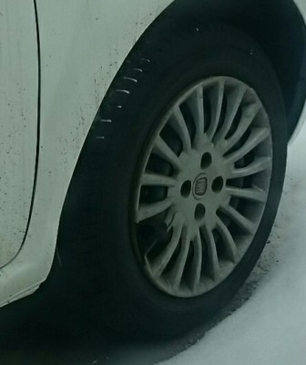 _20170212_230504.JPG
