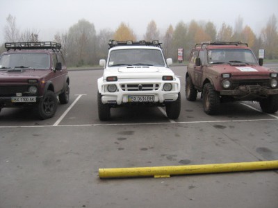 нив5.jpg