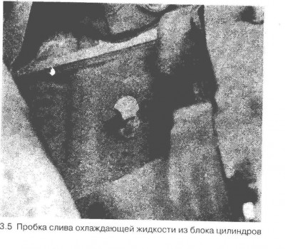 слив.jpg