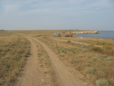  319.jpg