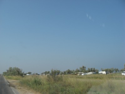  403.jpg