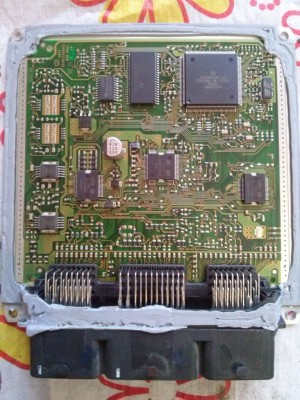 CAM00084.jpg