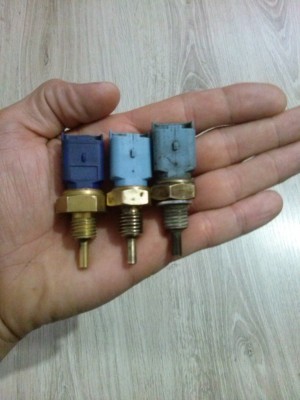 CAM00245.jpg