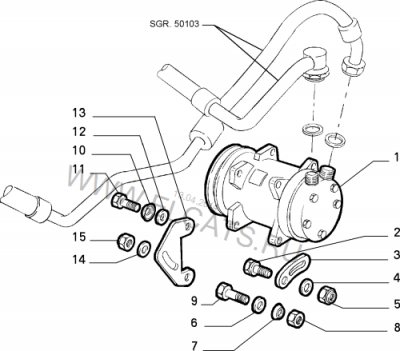 CImage (1).png