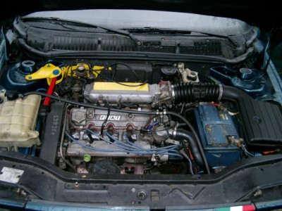CIMG1237.JPG