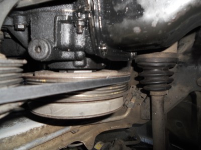DSCN8576.jpg