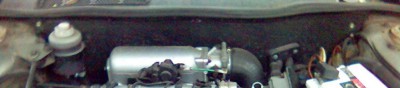 Foto(201).jpg