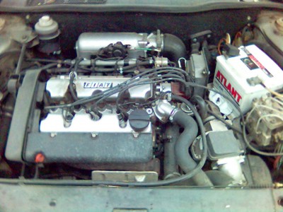 Foto(201).jpg