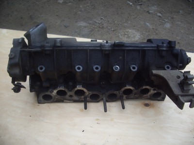 golova2.jpg