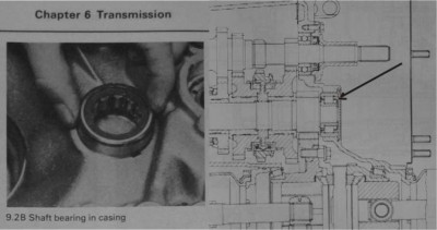 Graphic11111.jpg