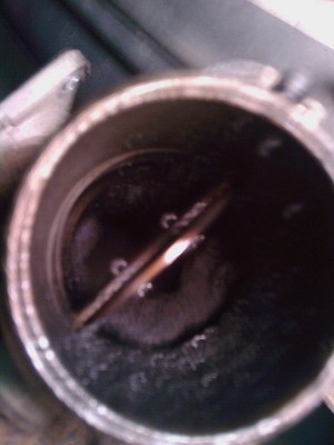 IMAG0103_g.jpg