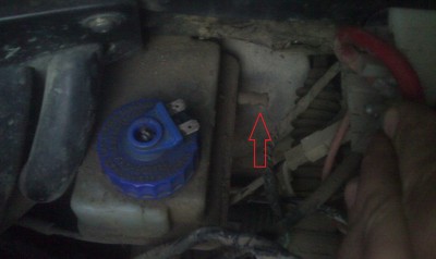 IMAG0227.jpg