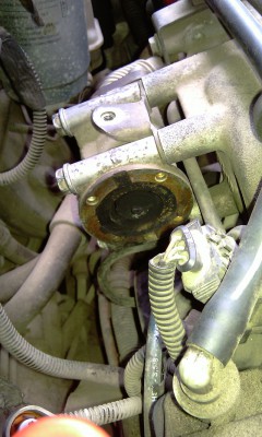 IMAG0429.jpg