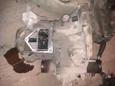 IMAG0783.jpg