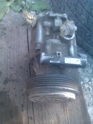 IMAG0793.jpg