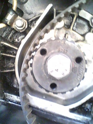 IMG0014A.jpg