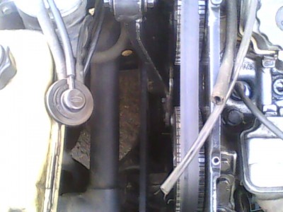 IMG0017A.jpg
