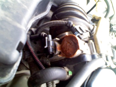 IMG002.jpg