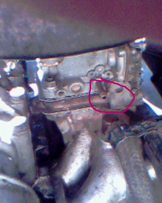 IMG0043A.jpg