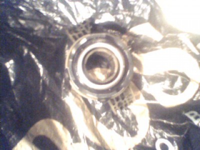 IMG0104A.jpg