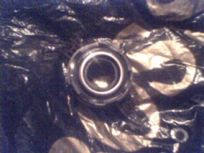 IMG0105A.jpg