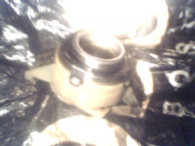 IMG0106A.jpg