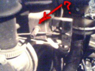 IMG0122A.jpg
