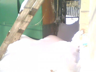IMG0126A.jpg