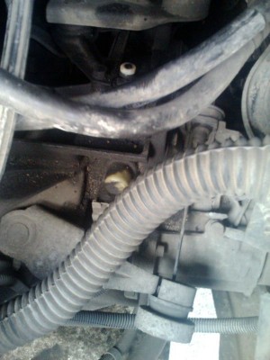 IMG0536A.jpg