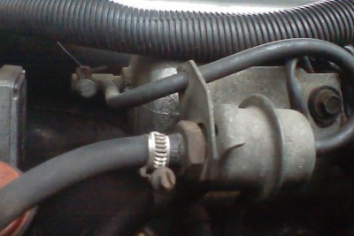 IMG1.jpg