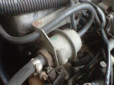 IMG2.jpg