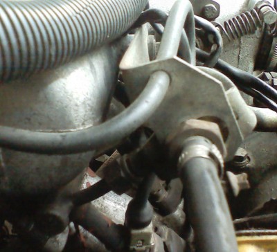 IMG3.jpg