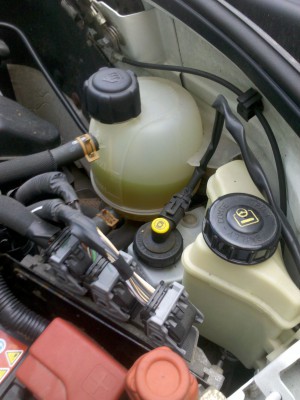 IMG_05-08-2012_084452.jpg