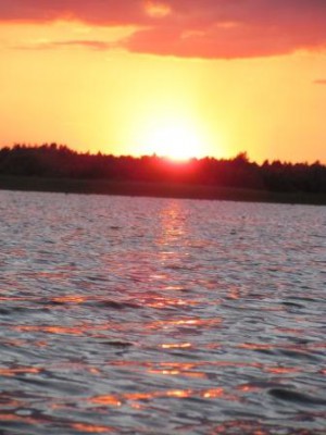 IMG_0661.jpg
